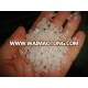 Quality Virgin PP /HDPE / LDPE / LLDPE granules